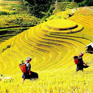 Du lịch Sapa: Cẩm nang từ A đến Z